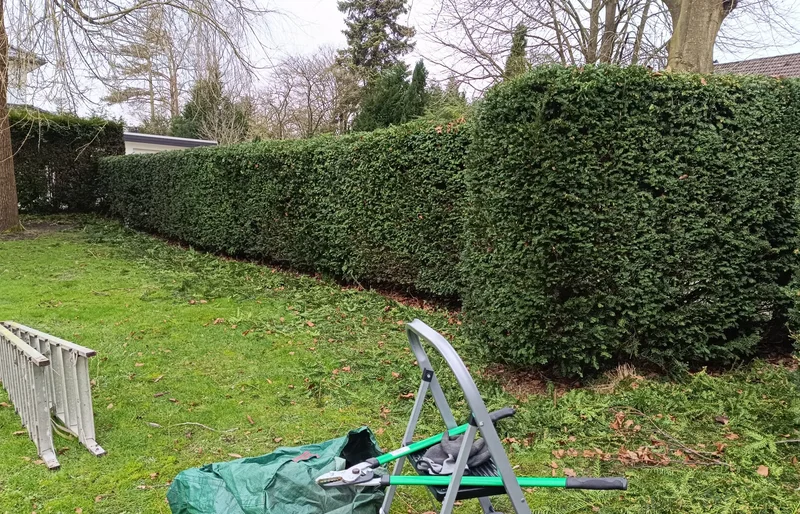 Treppenhaus nach gründlicher Reinigung